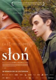 Постер к фильму Слон смотреть онлайн на HD Rezka