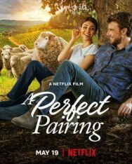 Постер к фильму Идеальное сочетание смотреть онлайн на HD Rezka