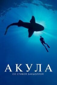 Постер к фильму Акула со Стивом Бакшоллом смотреть онлайн на HD Rezka
