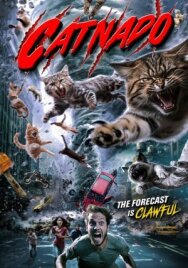 Постер к фильму Кошачий торнадо смотреть онлайн на HD Rezka