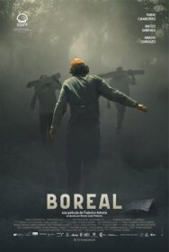 Постер к фильму Полярное сияние смотреть онлайн на HD Rezka