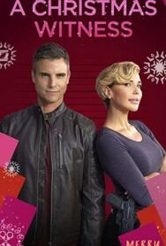 Постер к фильму Рождественский свидетель смотреть онлайн на HD Rezka