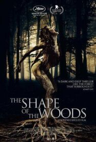 Постер к фильму Форма леса смотреть онлайн на HD Rezka
