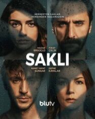 Постер к фильму Скрытое смотреть онлайн на HD Rezka