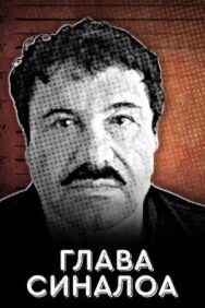 Постер к фильму Глава Синалоа смотреть онлайн на HD Rezka