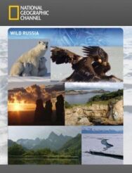 Постер к фильму Дикая природа России смотреть онлайн на HD Rezka