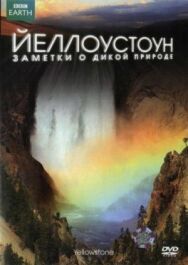 Постер к фильму Йеллоустоун: Заметки о дикой природе смотреть онлайн на HD Rezka