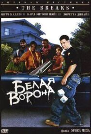 Постер к фильму Белая ворона смотреть онлайн на HD Rezka
