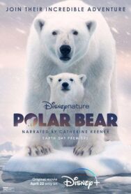 Постер к фильму Полярный медведь смотреть онлайн на HD Rezka