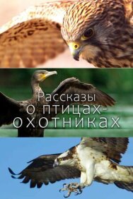 Постер к фильму Рассказы о птицах-охотниках смотреть онлайн на HD Rezka