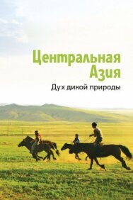 Постер к фильму Центральная Азия. Дух дикой природы смотреть онлайн на HD Rezka