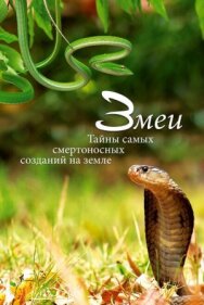 Постер к фильму Змеи. Тайны самых смертоносных созданий на земле смотреть онлайн на HD Rezka