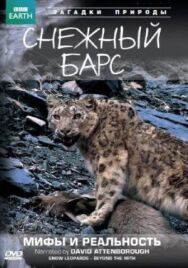 Постер к фильму BBC: Снежный барс: Мифы и реальности смотреть онлайн на HD Rezka