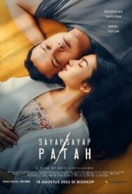 Постер к фильму Сломанные крылья смотреть онлайн на HD Rezka