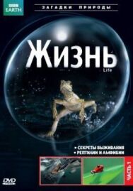 Постер к фильму BBC: Жизнь смотреть онлайн на HD Rezka