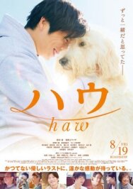 Постер к фильму Гав смотреть онлайн на HD Rezka