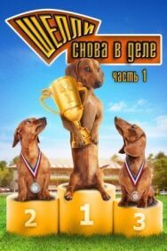 Постер к фильму Шелли снова в деле смотреть онлайн на HD Rezka