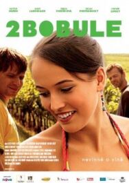 Постер к фильму 2 ягоды смотреть онлайн на HD Rezka