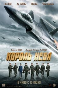 Постер к фильму Король неба смотреть онлайн на HD Rezka