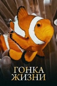 Постер к фильму Гонка жизни смотреть онлайн на HD Rezka
