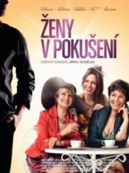 Постер к фильму Женщины в соблазне смотреть онлайн на HD Rezka