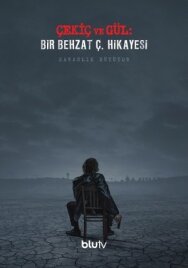 Постер к фильму Молот и роза: Бехзат Ч. смотреть онлайн на HD Rezka