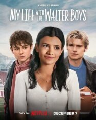 Постер к фильму Моя жизнь с мальчиками Уолтер смотреть онлайн на HD Rezka