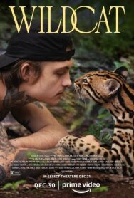 Постер к фильму Дикая кошка смотреть онлайн на HD Rezka