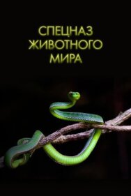 Постер к фильму Спецназ животного мира смотреть онлайн на HD Rezka