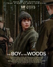 Постер к фильму Мальчик в лесу смотреть онлайн на HD Rezka