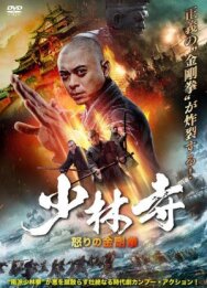 Постер к фильму Southern Shaolin and the Fierce Buddha Warriors смотреть онлайн на HD Rezka