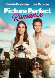 Постер к фильму Идеальный роман смотреть онлайн на HD Rezka