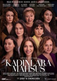 Постер к фильму Посвящается женщинам смотреть онлайн на HD Rezka