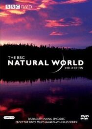 Постер к фильму BBC: Живой мир смотреть онлайн на HD Rezka