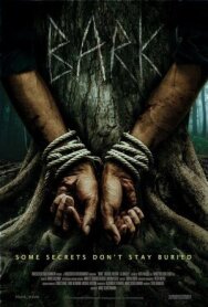 Постер к фильму Кара смотреть онлайн на HD Rezka
