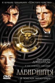 Постер к фильму Лабиринты смотреть онлайн на HD Rezka