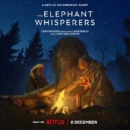 Постер к фильму Заклинатели слонов смотреть онлайн на HD Rezka