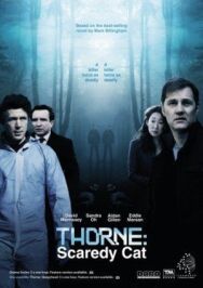 Постер к фильму Торн: Пуганая ворона смотреть онлайн на HD Rezka