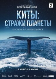 Постер к фильму Киты: Стражи планеты смотреть онлайн на HD Rezka