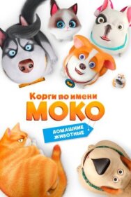 Постер к фильму Корги по имени Моко. Домашние животные смотреть онлайн на HD Rezka