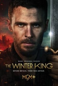Постер к фильму Зимний король смотреть онлайн на HD Rezka