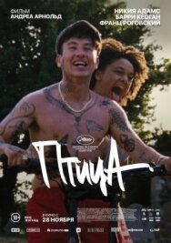 Постер к фильму Птица смотреть онлайн на HD Rezka