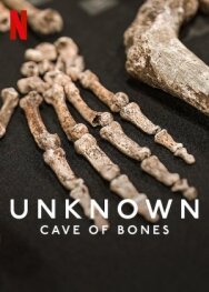 Постер к фильму Unknown: Cave of Bones смотреть онлайн на HD Rezka