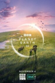 Постер к фильму BBC: Планета Земля III смотреть онлайн на HD Rezka