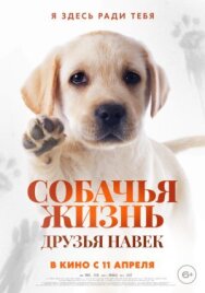 Постер к фильму Собачья жизнь: Друзья навек смотреть онлайн на HD Rezka