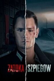 Постер к фильму Шпионский залив смотреть онлайн на HD Rezka