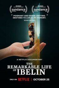 Постер к фильму Ibelin: Невероятная жизнь геймера смотреть онлайн на HD Rezka