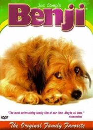 Постер к фильму Бенджи смотреть онлайн на HD Rezka