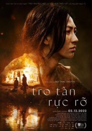 Постер к фильму Сияющий пепел смотреть онлайн на HD Rezka