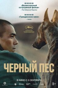 Постер к фильму Чёрный пёс смотреть онлайн на HD Rezka